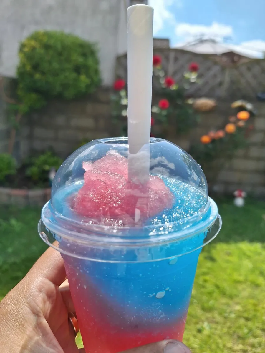 Commercial Double Tank Slush & Granita Machine 2 x - Image 4