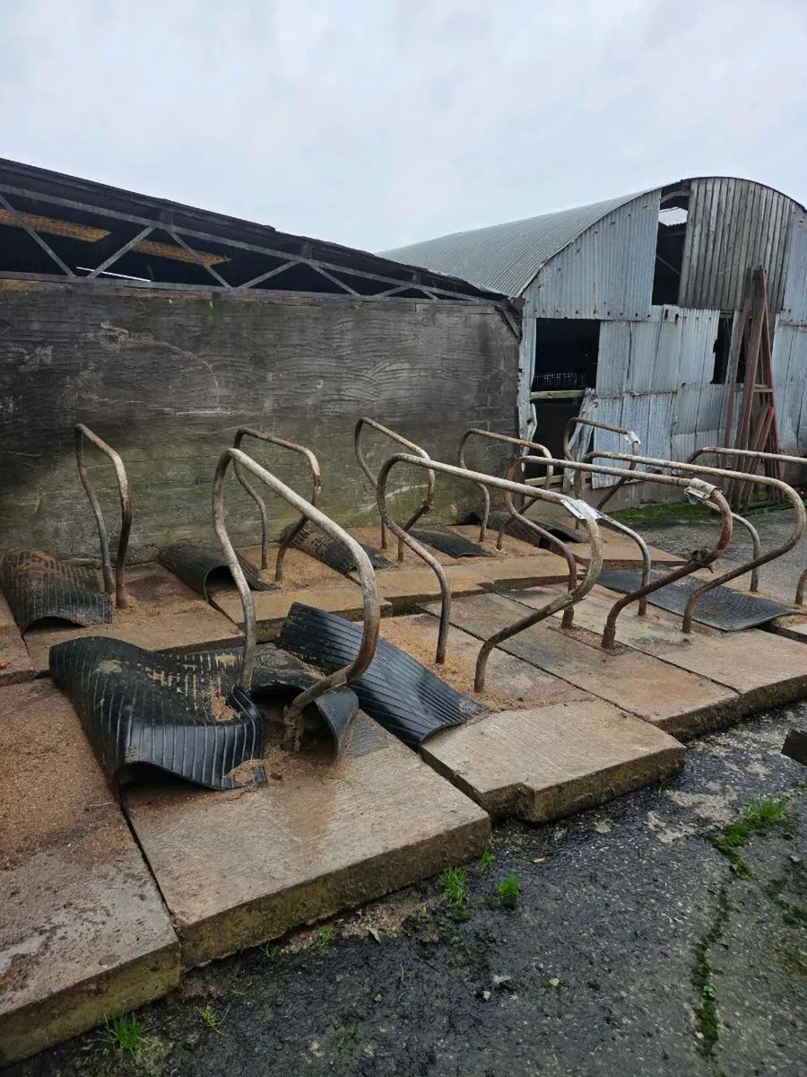 Concrete cubicle - Image 2