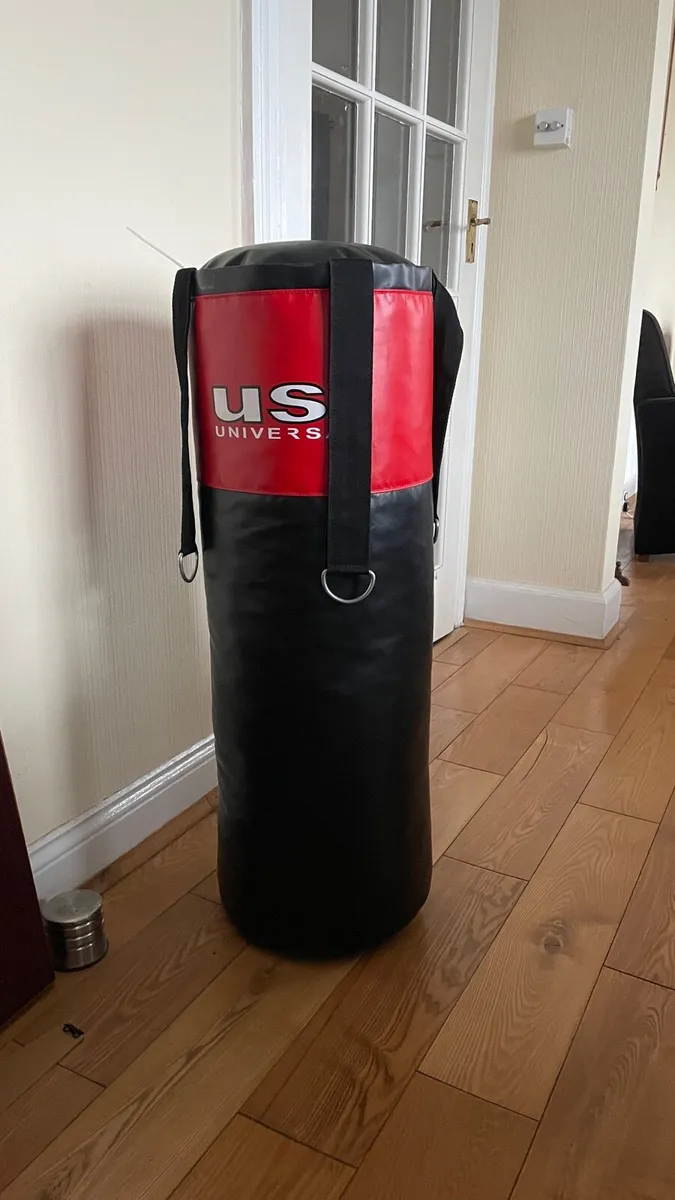 Boxing bag and gloves never used - Image 1