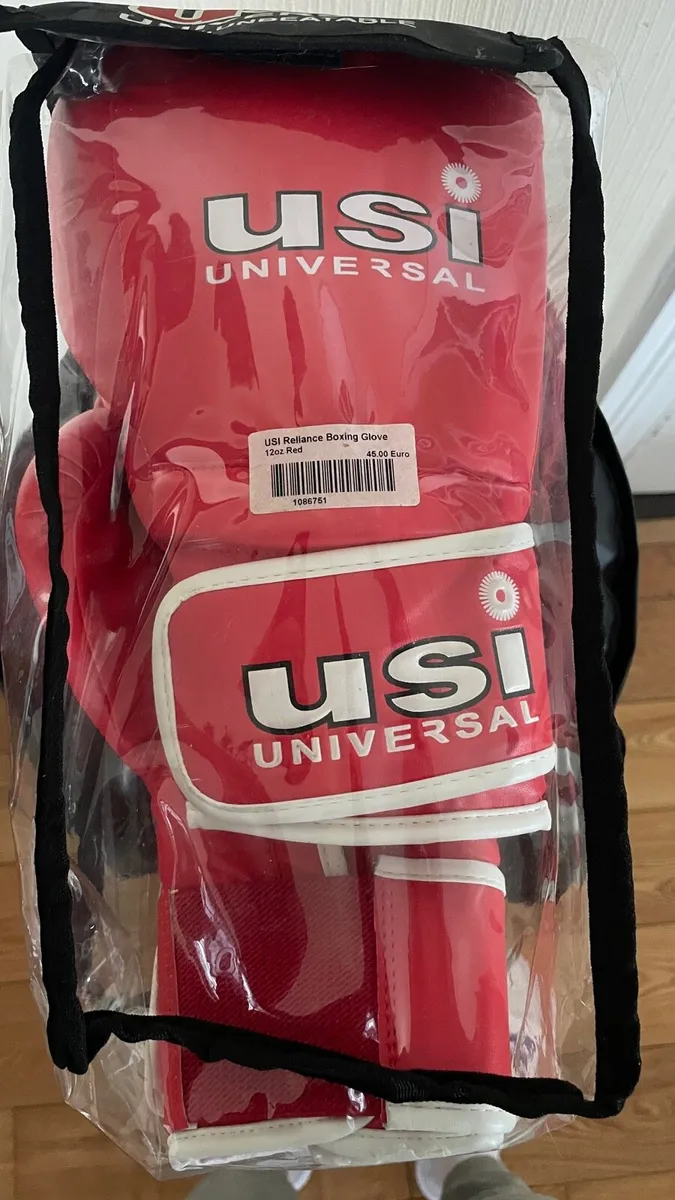 Boxing bag and gloves never used - Image 2