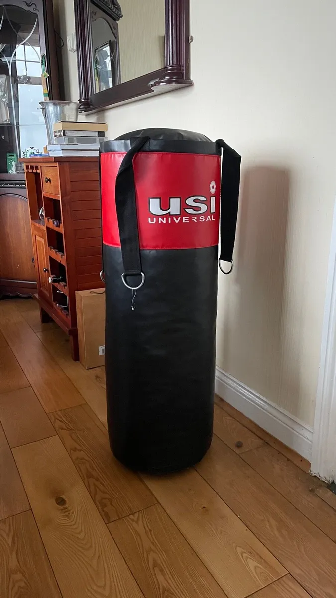 Boxing bag and gloves never used - Image 3