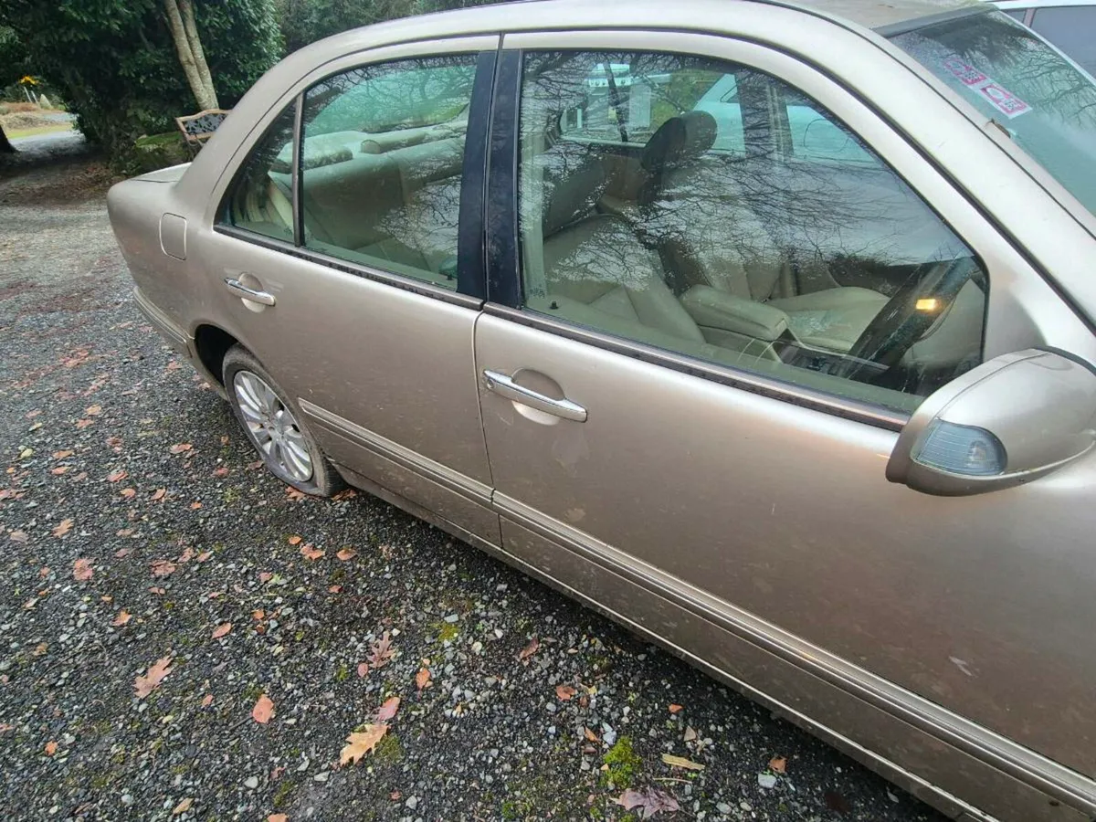 Mercedes w211 e220cdi. Harvest gold - Image 2