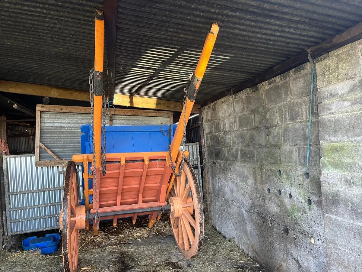 Horse cart - Image 3