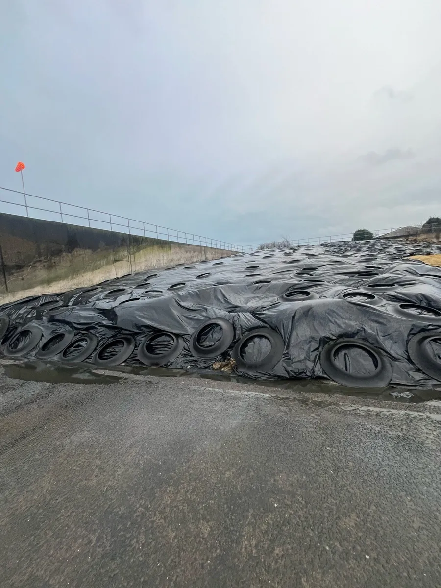 4th cut pit silage - Image 1