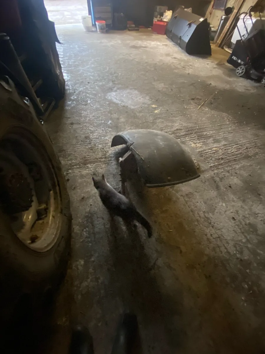 Mudguards cow box and old style gate - Image 2