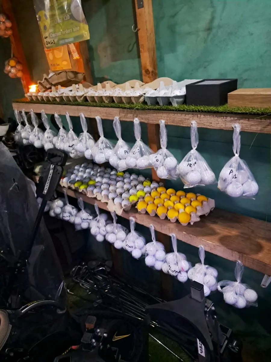 Pro V1 Golf balls - Image 1