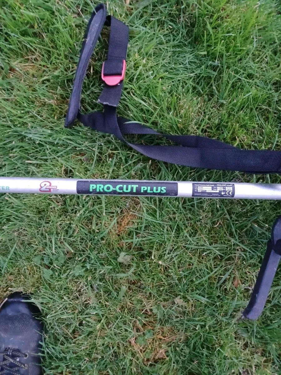 Strimmer/brush cutter - Image 2