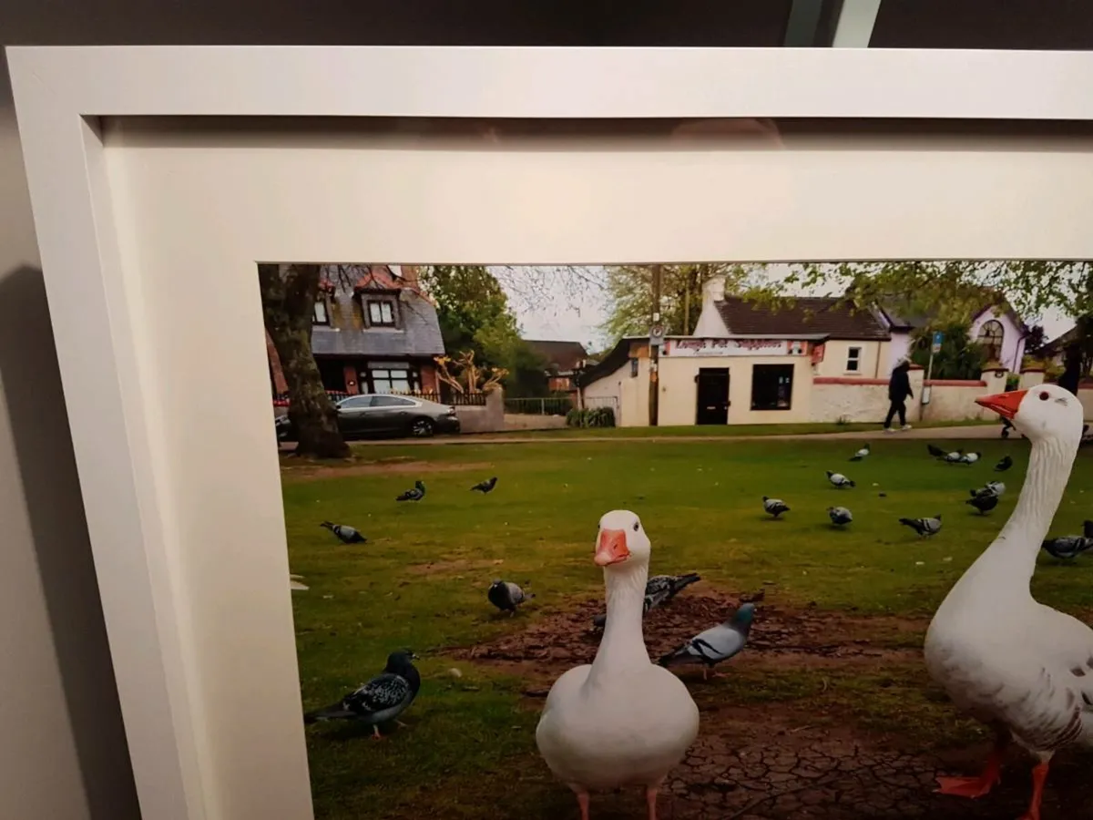 The Lough, Cork - Image 3