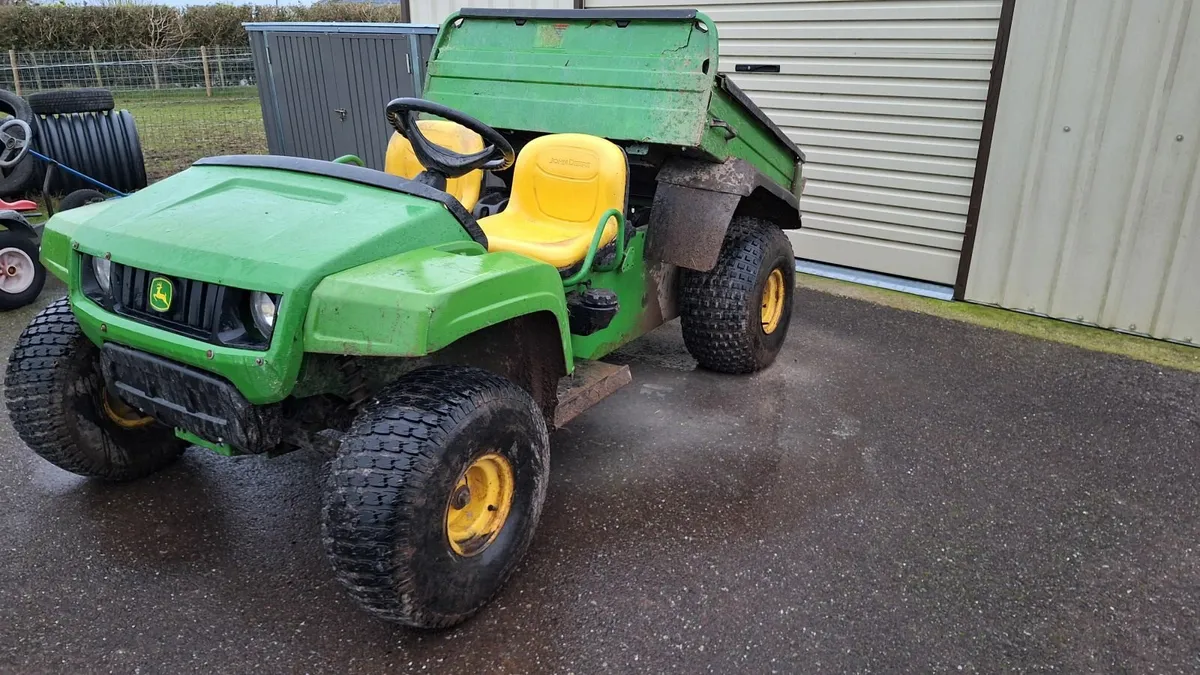 Gator Buggy - Image 4