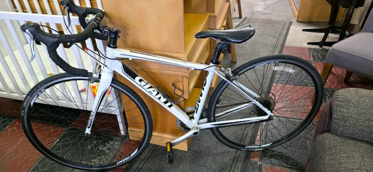 Giant Defy - Image 1