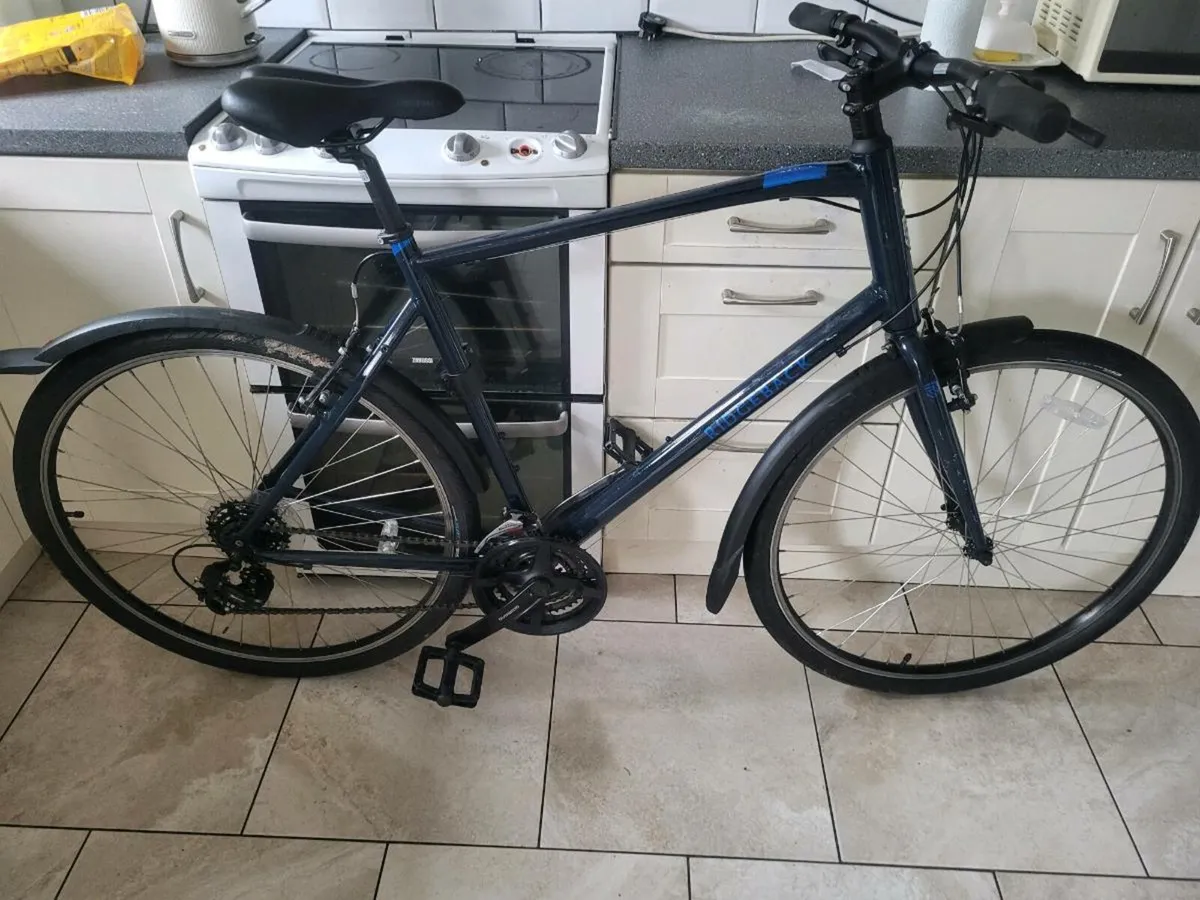 Xxl mens bike - Image 1