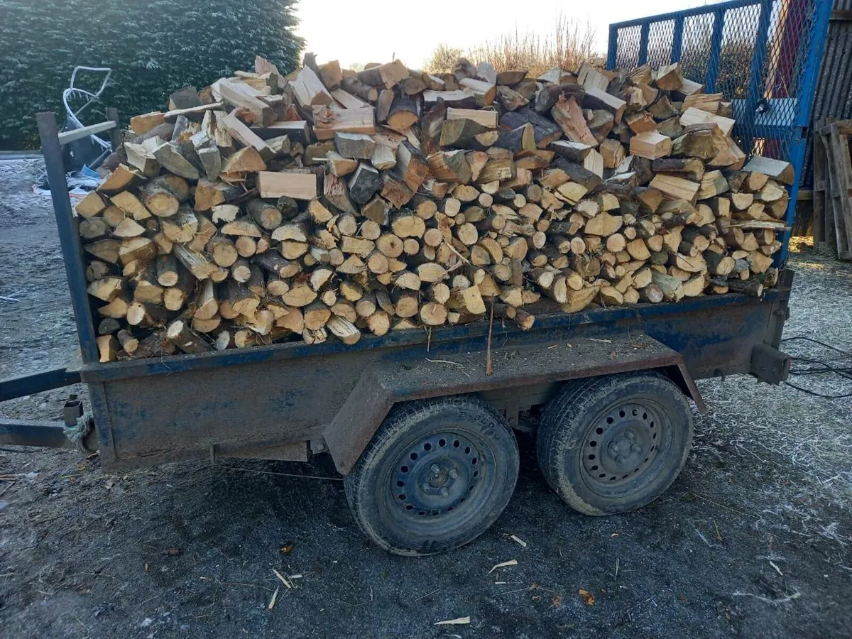 Fire Wood - Image 4