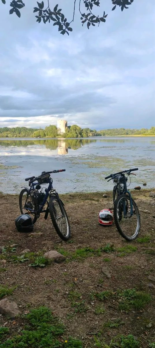 80cc engine bike - Image 4