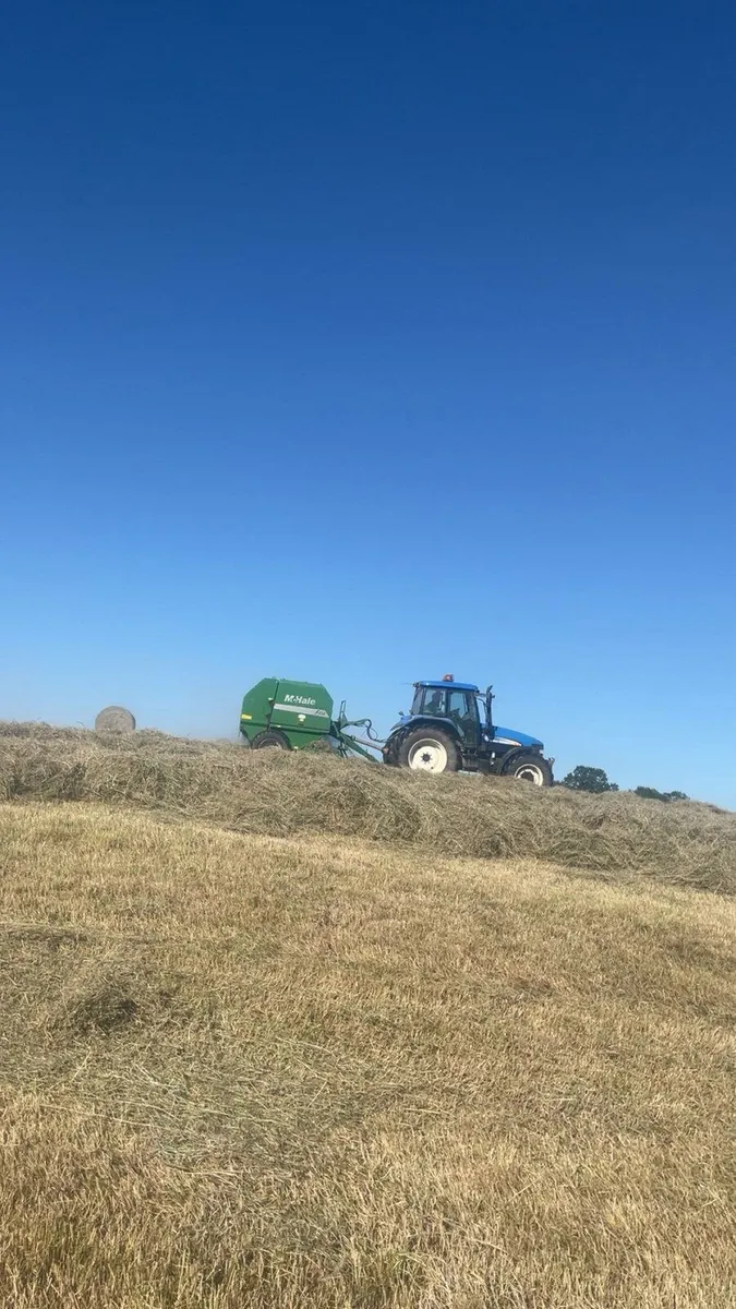 Hay - Image 2