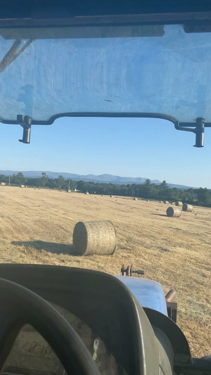 Hay - Image 3
