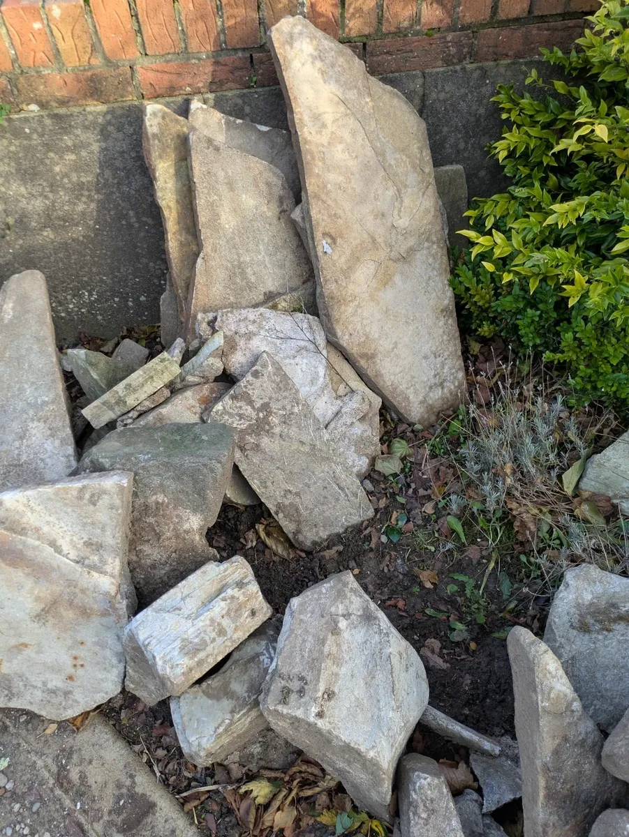 Garden and landscaping