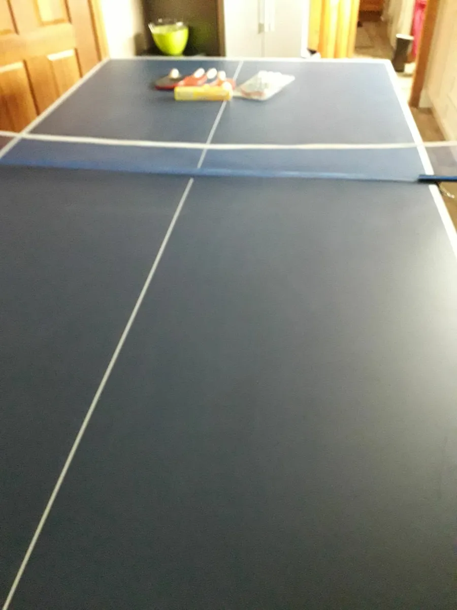 Table Tennis Table - Image 1