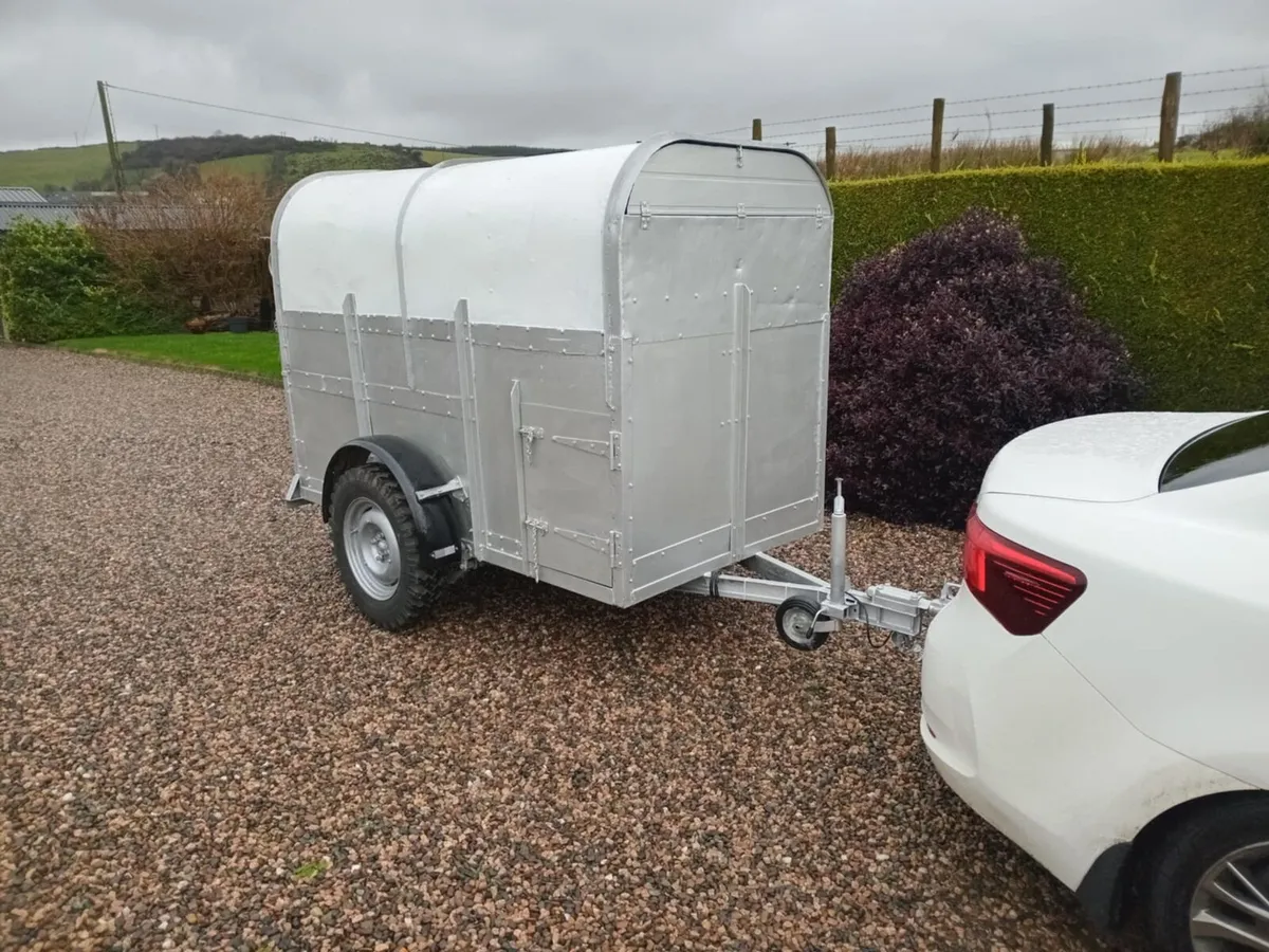 Livestock Trailer  / Aluminium Body - Image 1