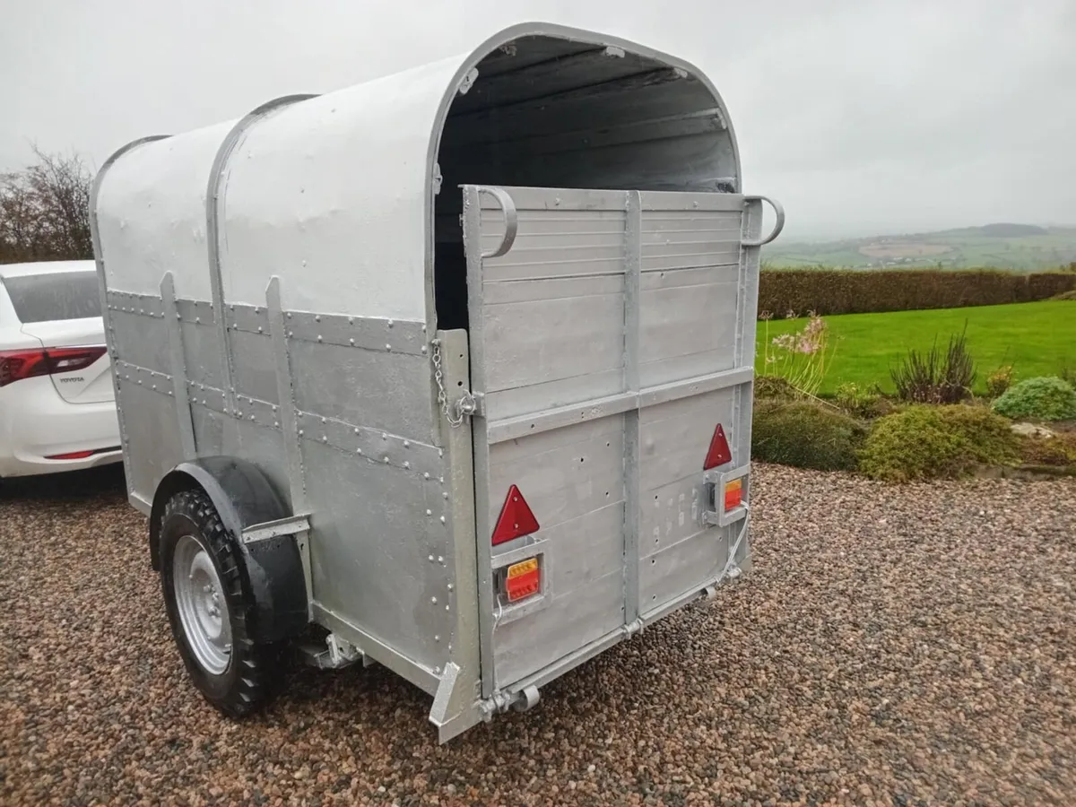Livestock Trailer  / Aluminium Body - Image 4