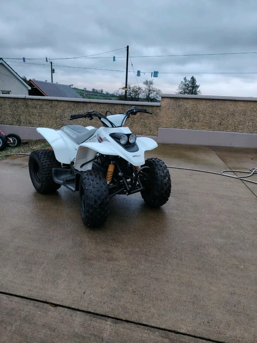 Quadzillia 100cc - Image 1