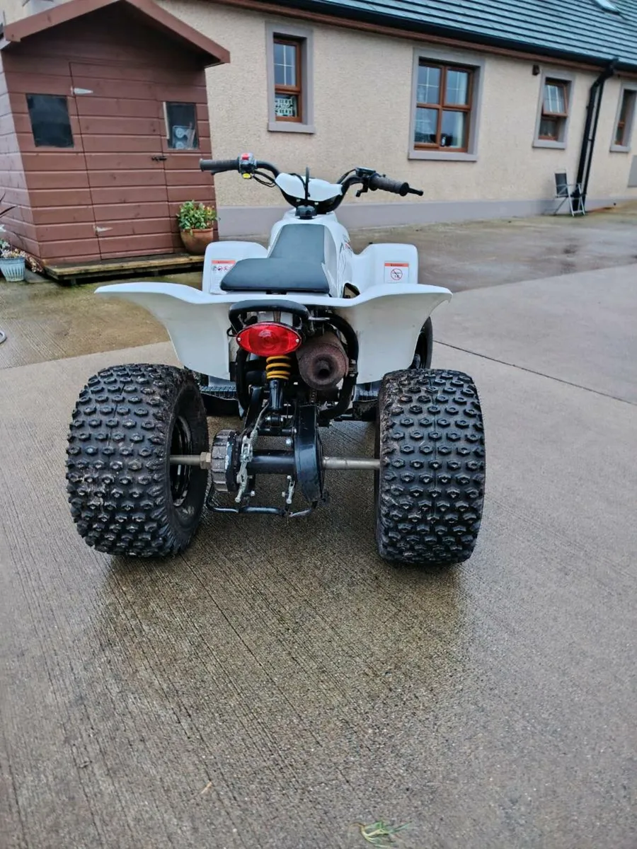 Quadzillia 100cc - Image 2