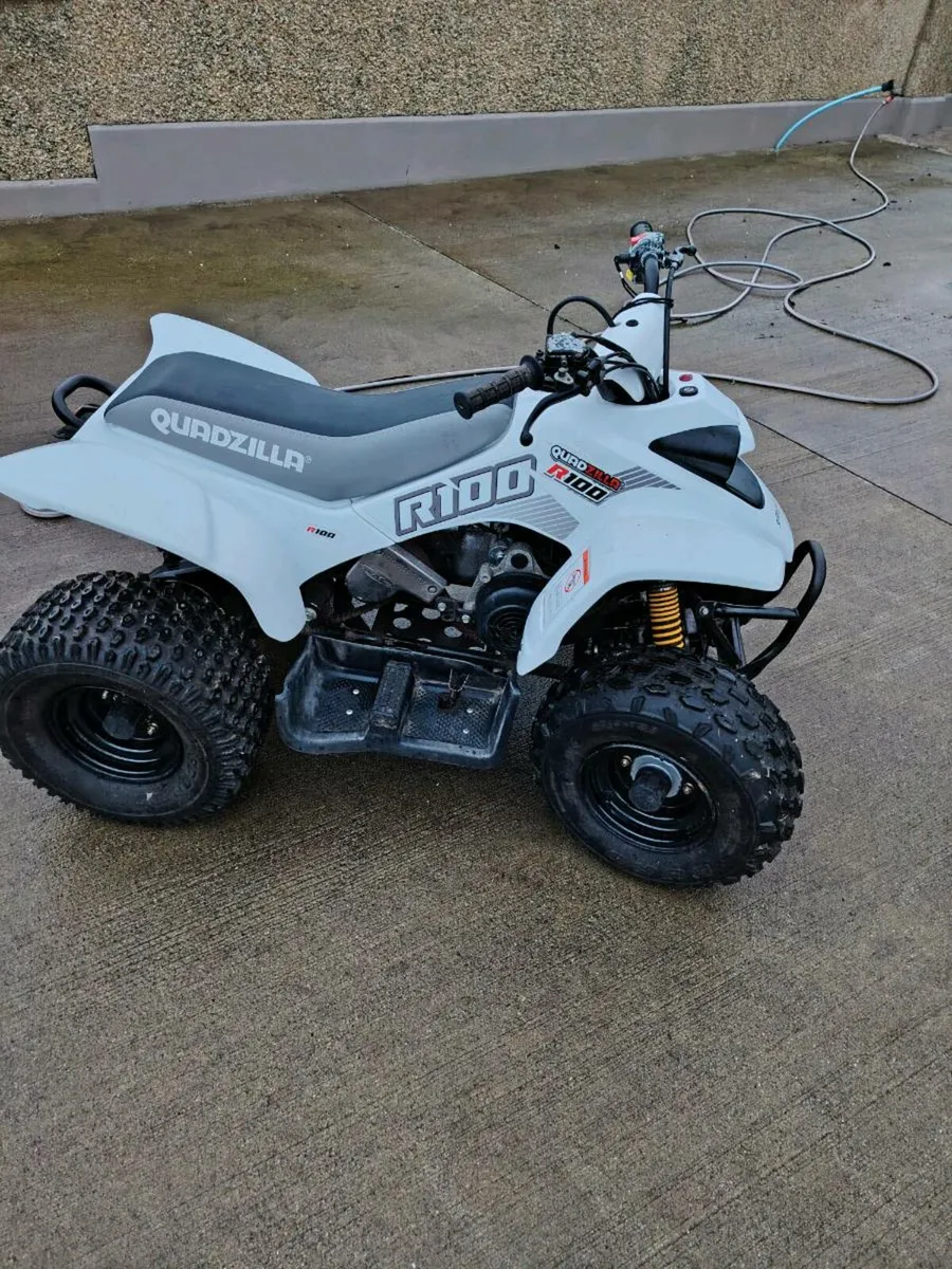 Quadzillia 100cc - Image 3