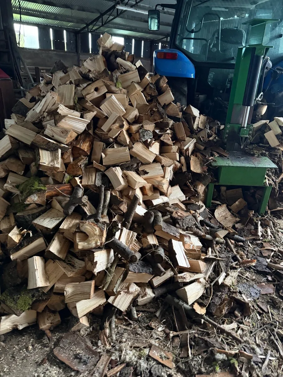 Firewood - Image 2