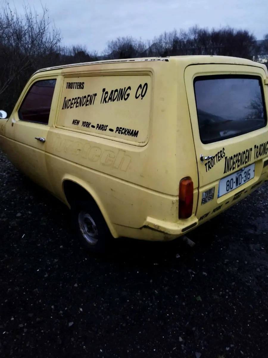 Robin reliant - Image 1