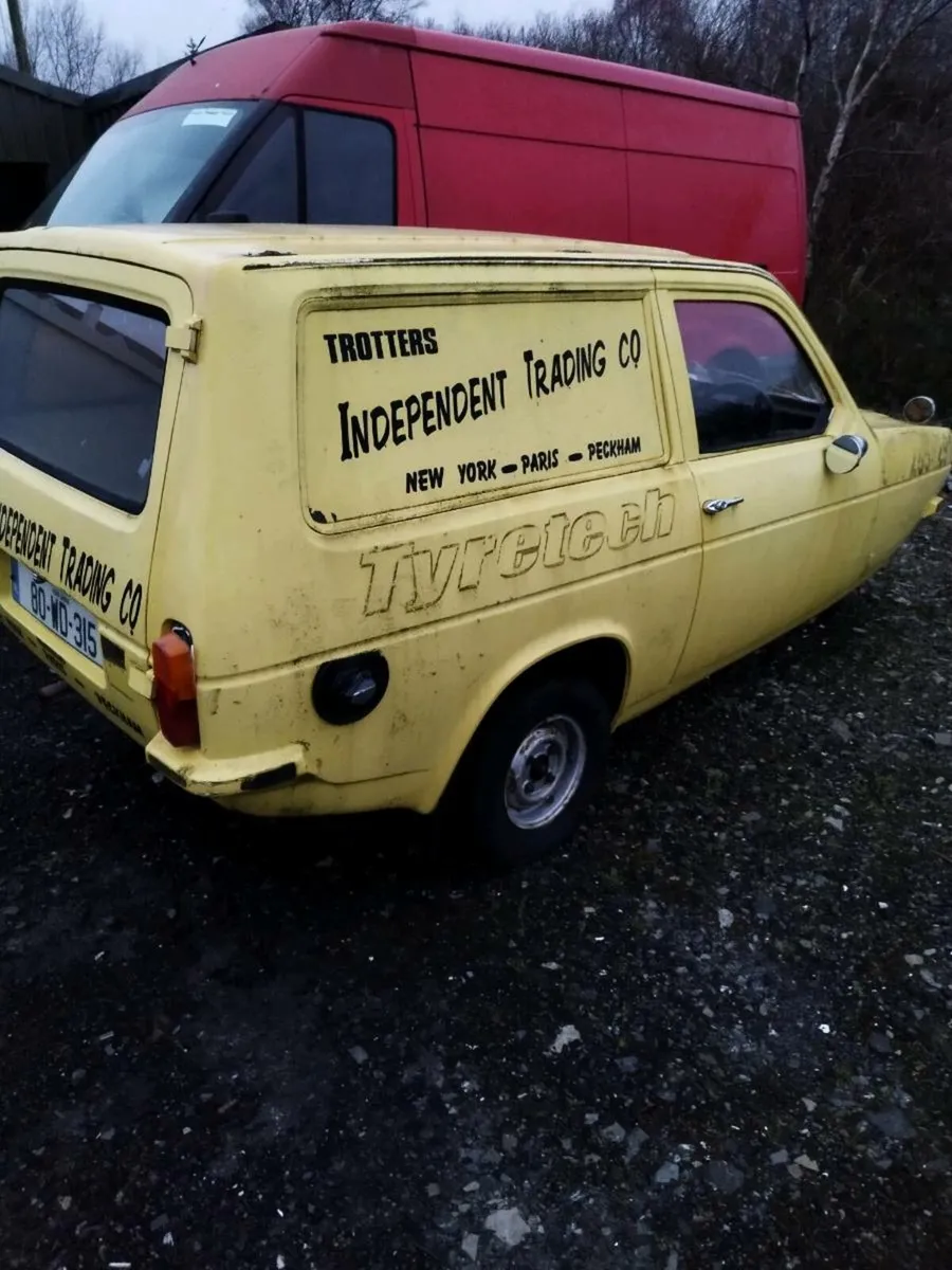 Robin reliant - Image 2