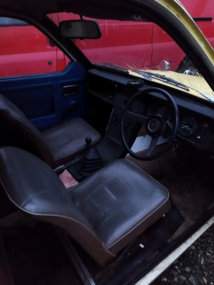 Robin reliant - Image 4