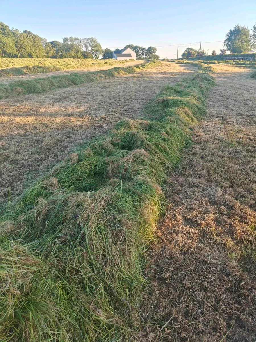 Silage - Image 1