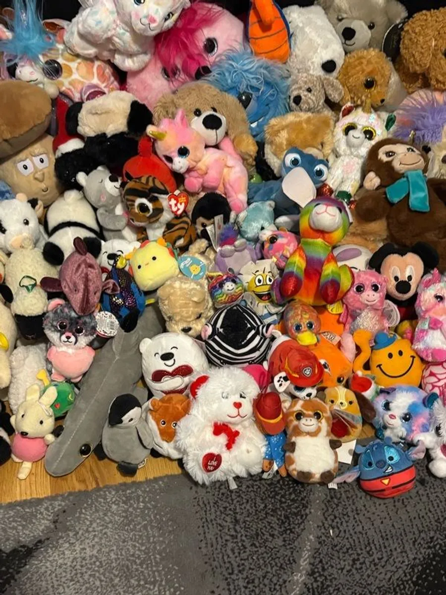 teddies - Image 1