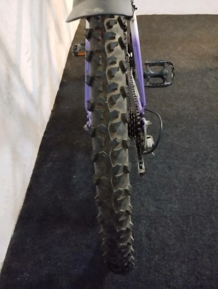 Ladies 26inch bike - Image 3