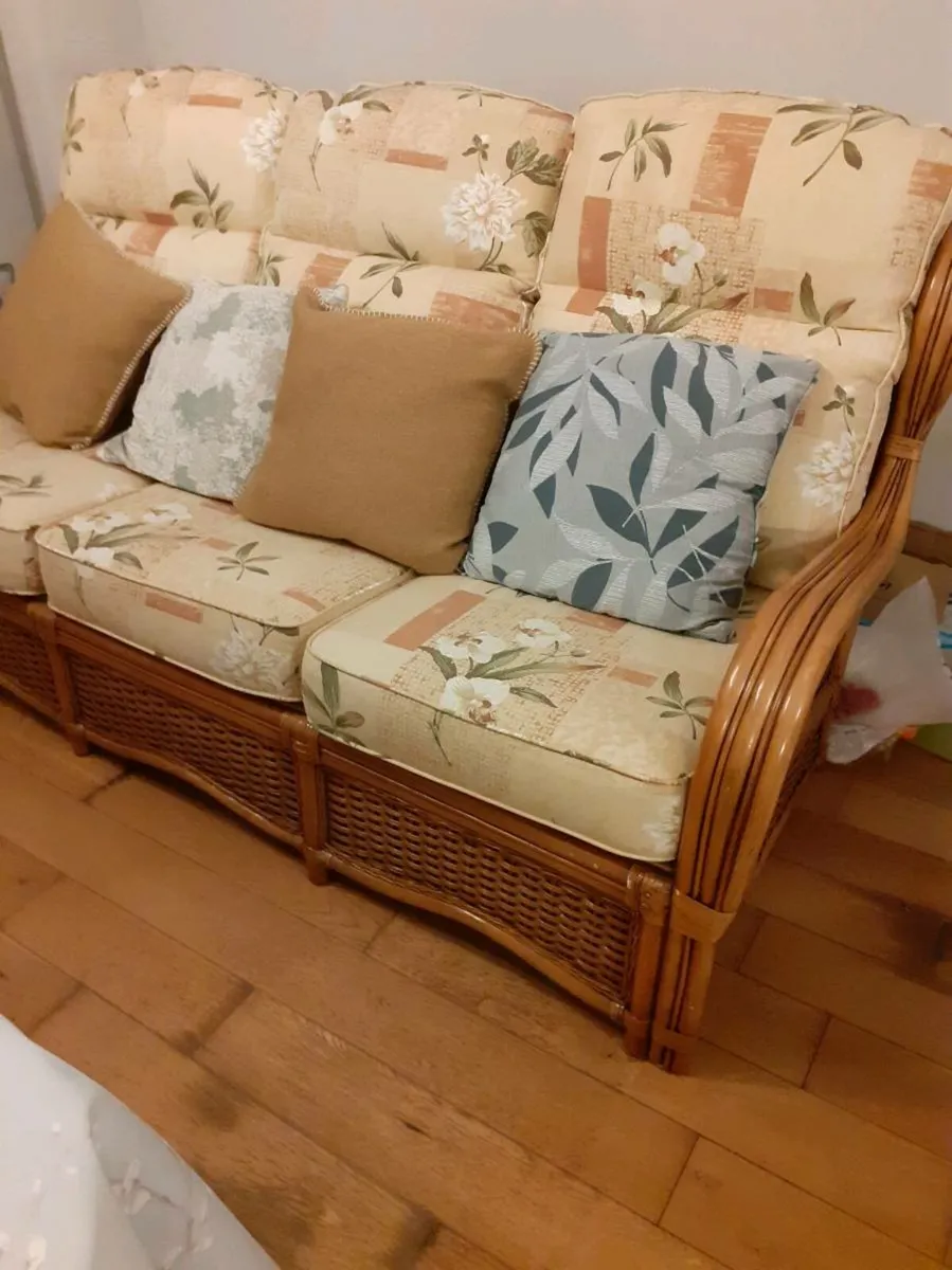 Cane 3 seater couch - Image 3