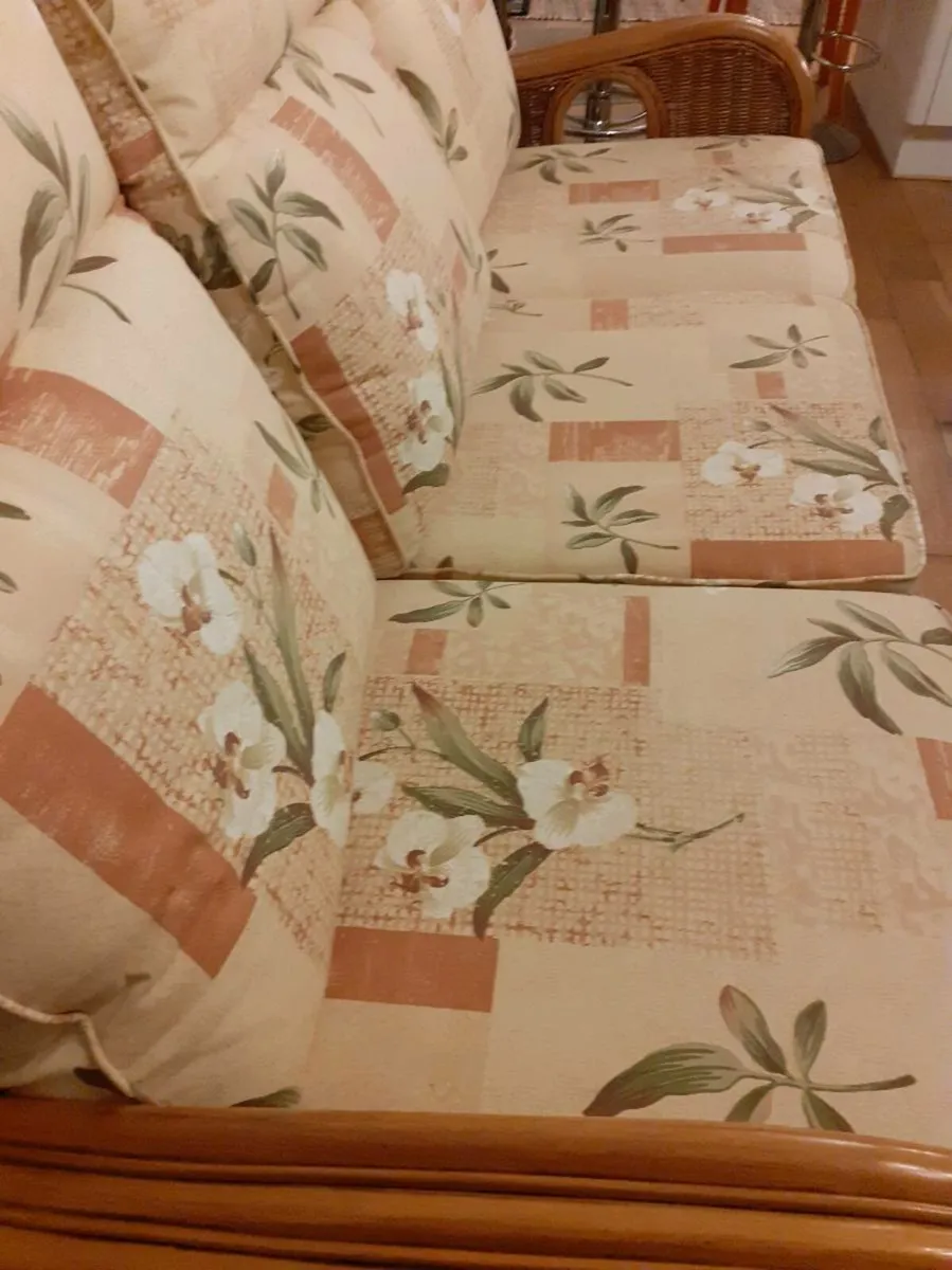 Cane 3 seater couch - Image 4