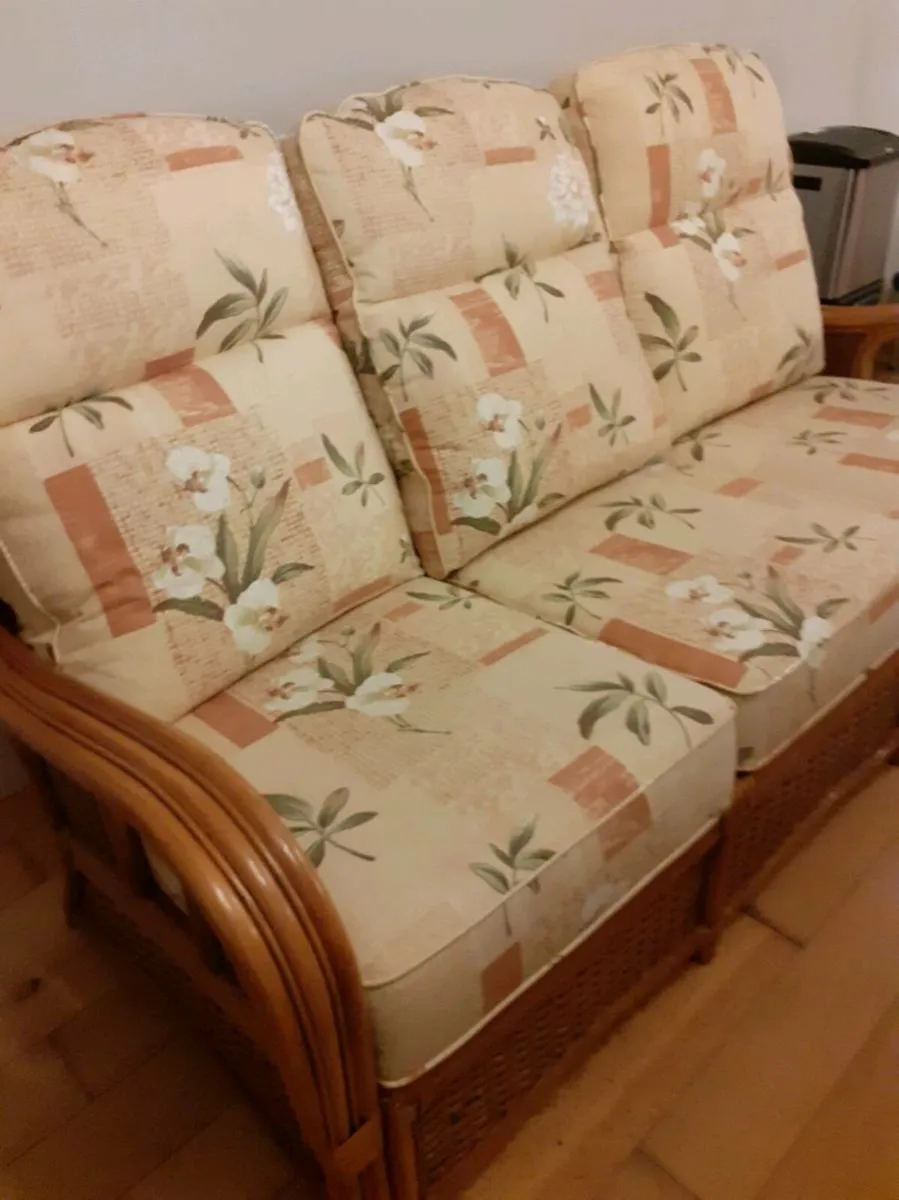 Cane 3 seater couch - Image 2