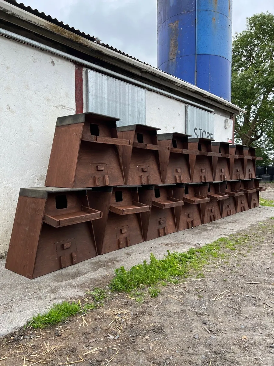 Owl boxes - Image 1