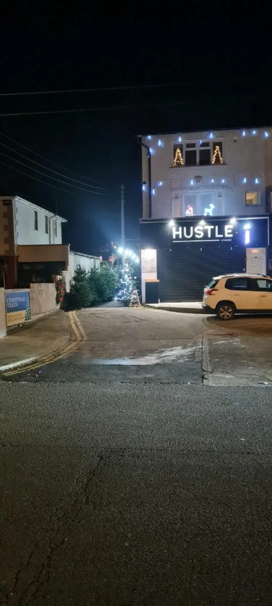 Real Christmas trees - Image 2