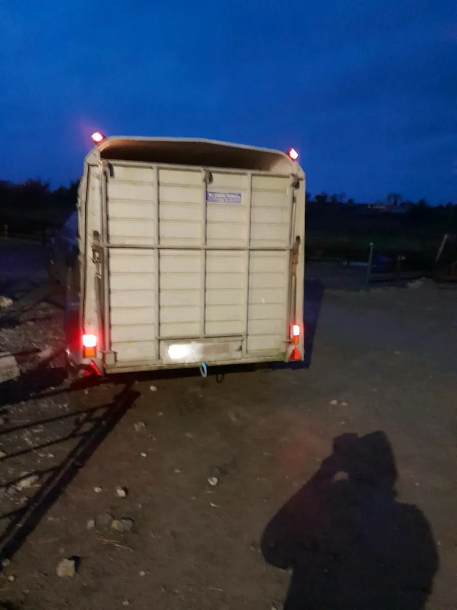 Ifor 10by6 cattle trailer trade takenl  0868782672 - Image 4