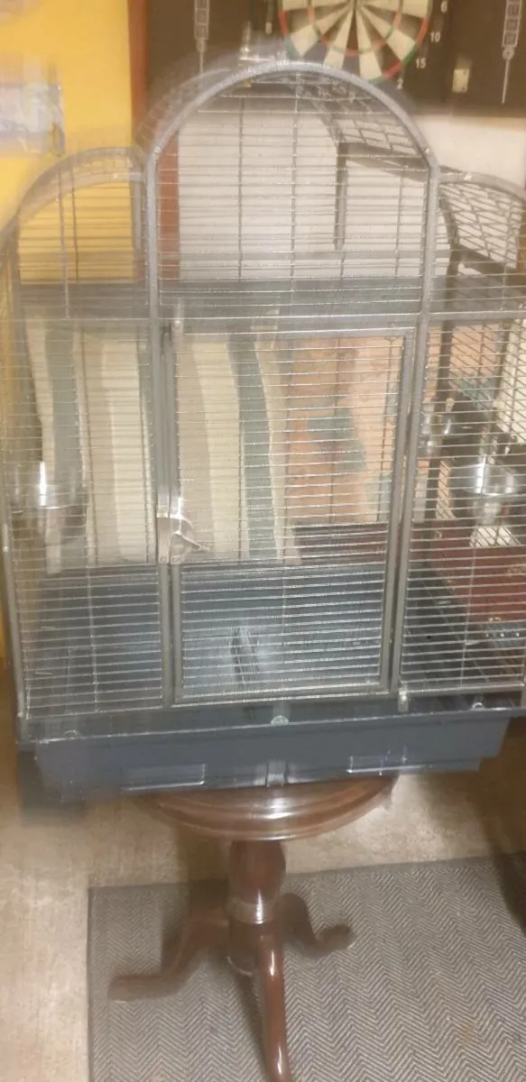 Bird and cage separately - Image 3