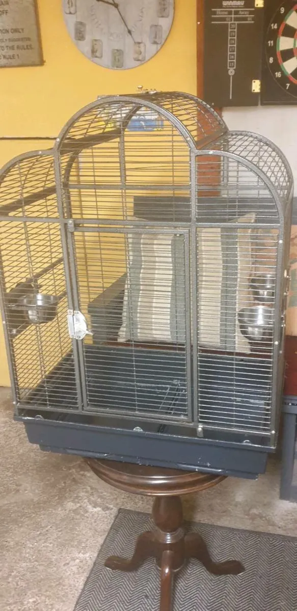 Bird and cage separately - Image 4