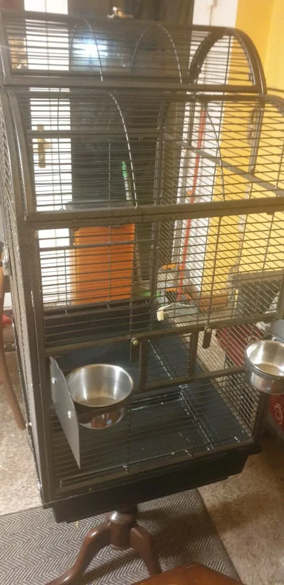 Bird and cage separately - Image 4