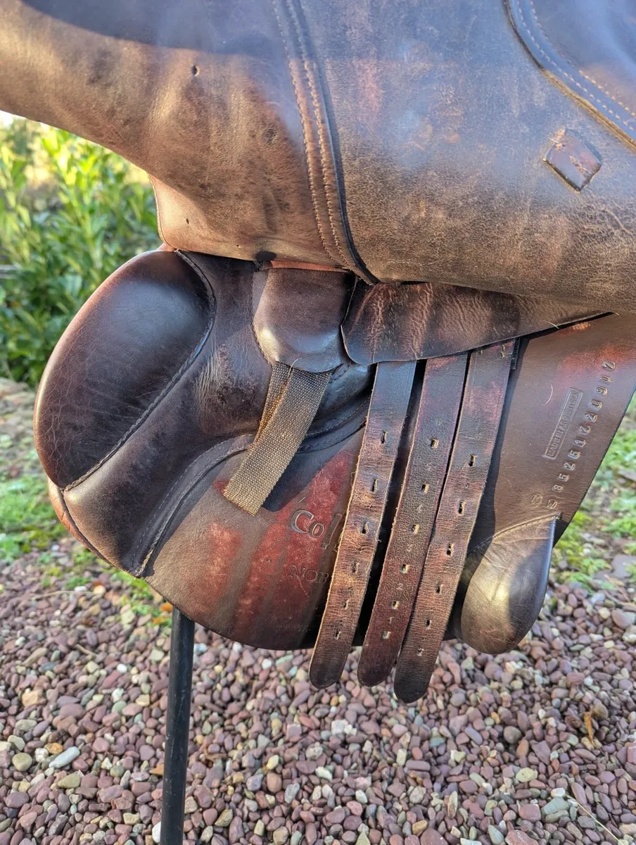 Wide jump saddle - Image 2