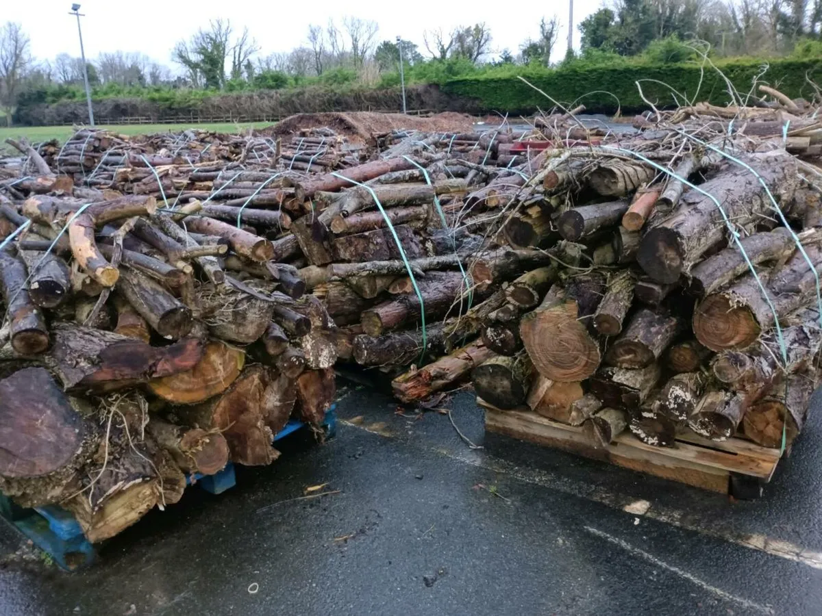Wood logs and Woodchip for sale - Image 1