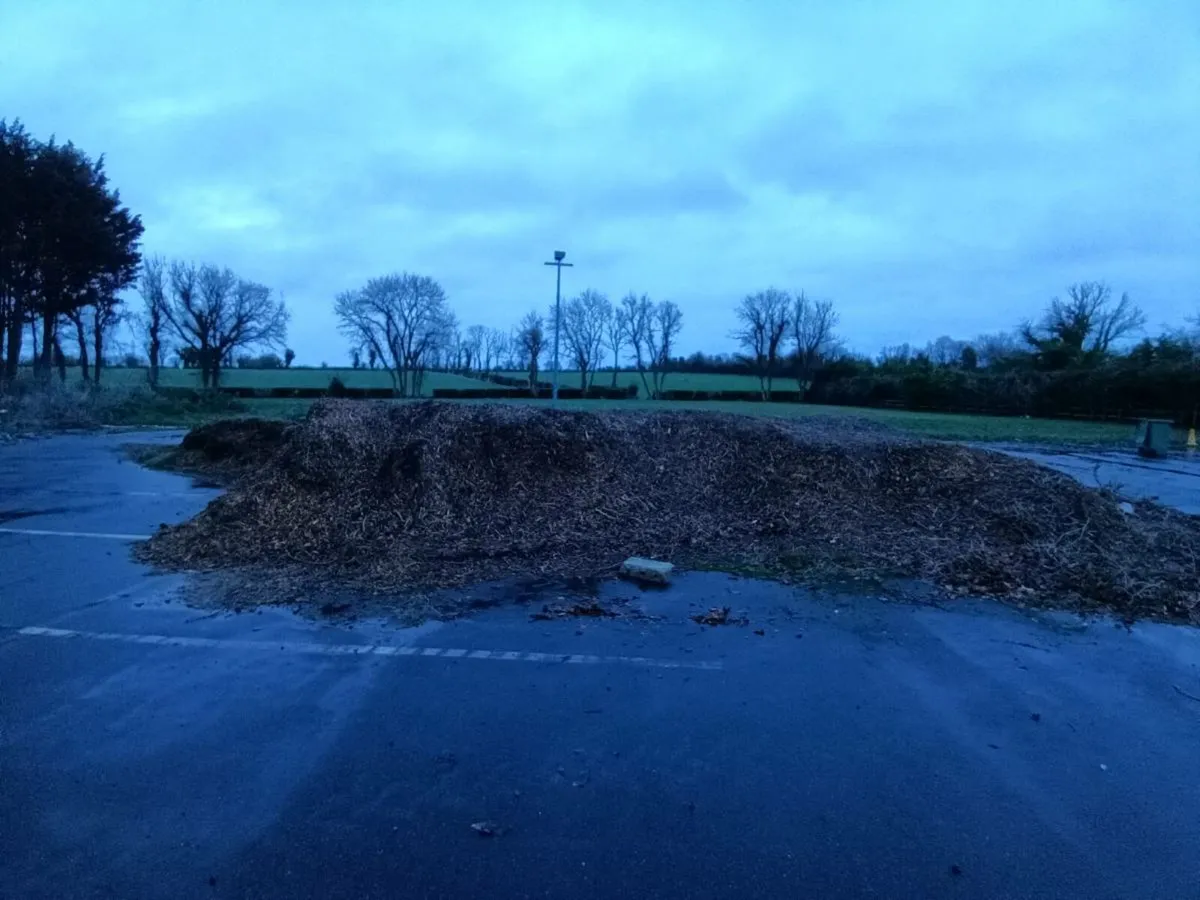 Wood logs and Woodchip for sale - Image 2