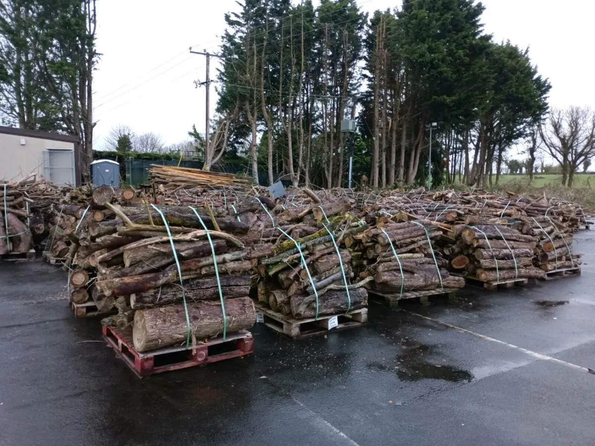 Wood logs and Woodchip for sale - Image 4