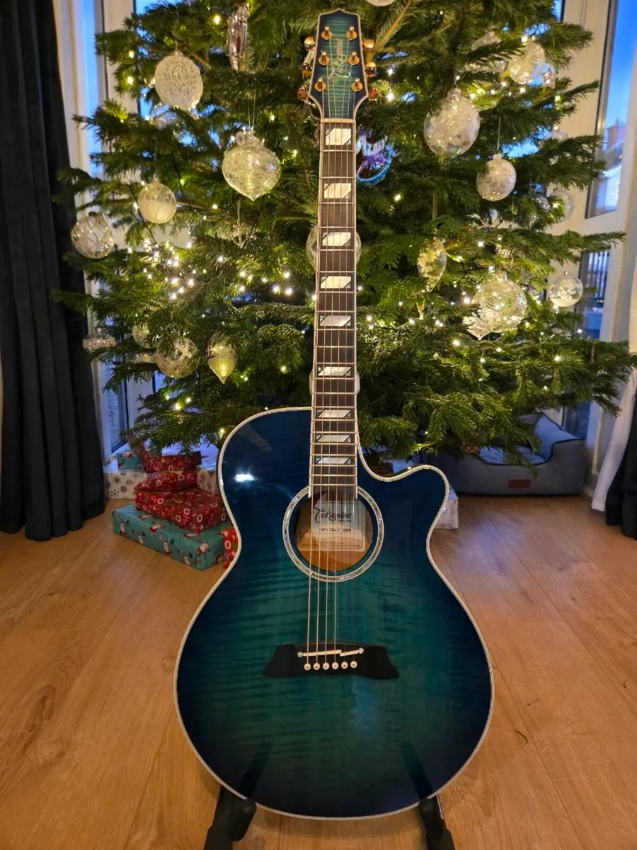 Takamine Thinline - Image 1