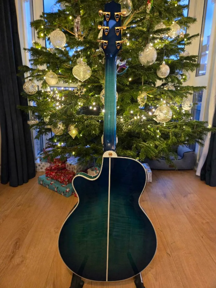 Takamine Thinline - Image 2