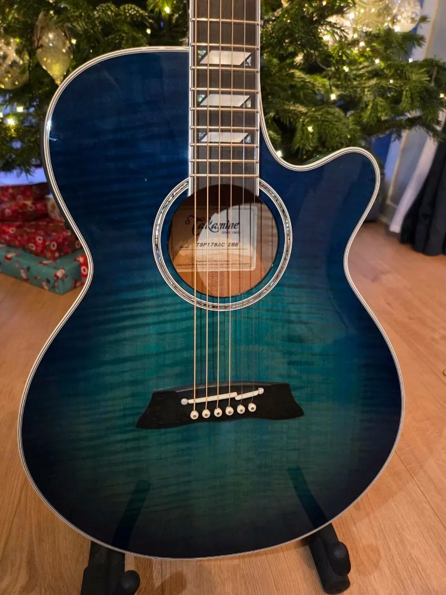 Takamine Thinline - Image 3