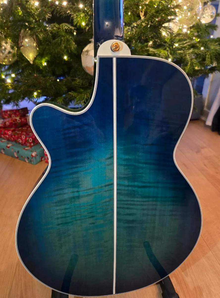 Takamine Thinline - Image 4